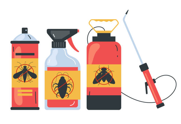 Best Ant Control Services  in Old Town, ME