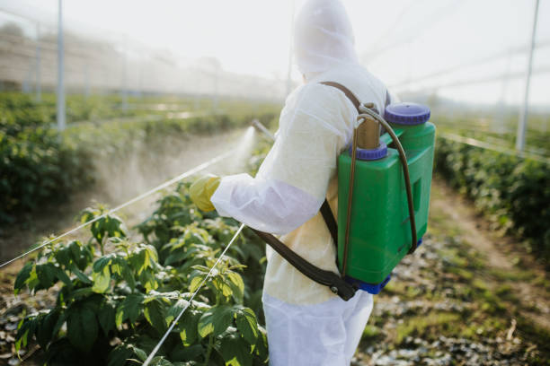 Professional Pest Control in Old Town, ME